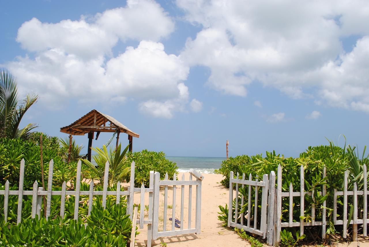 Asha Beach & Spa Tangalle Exteriér fotografie