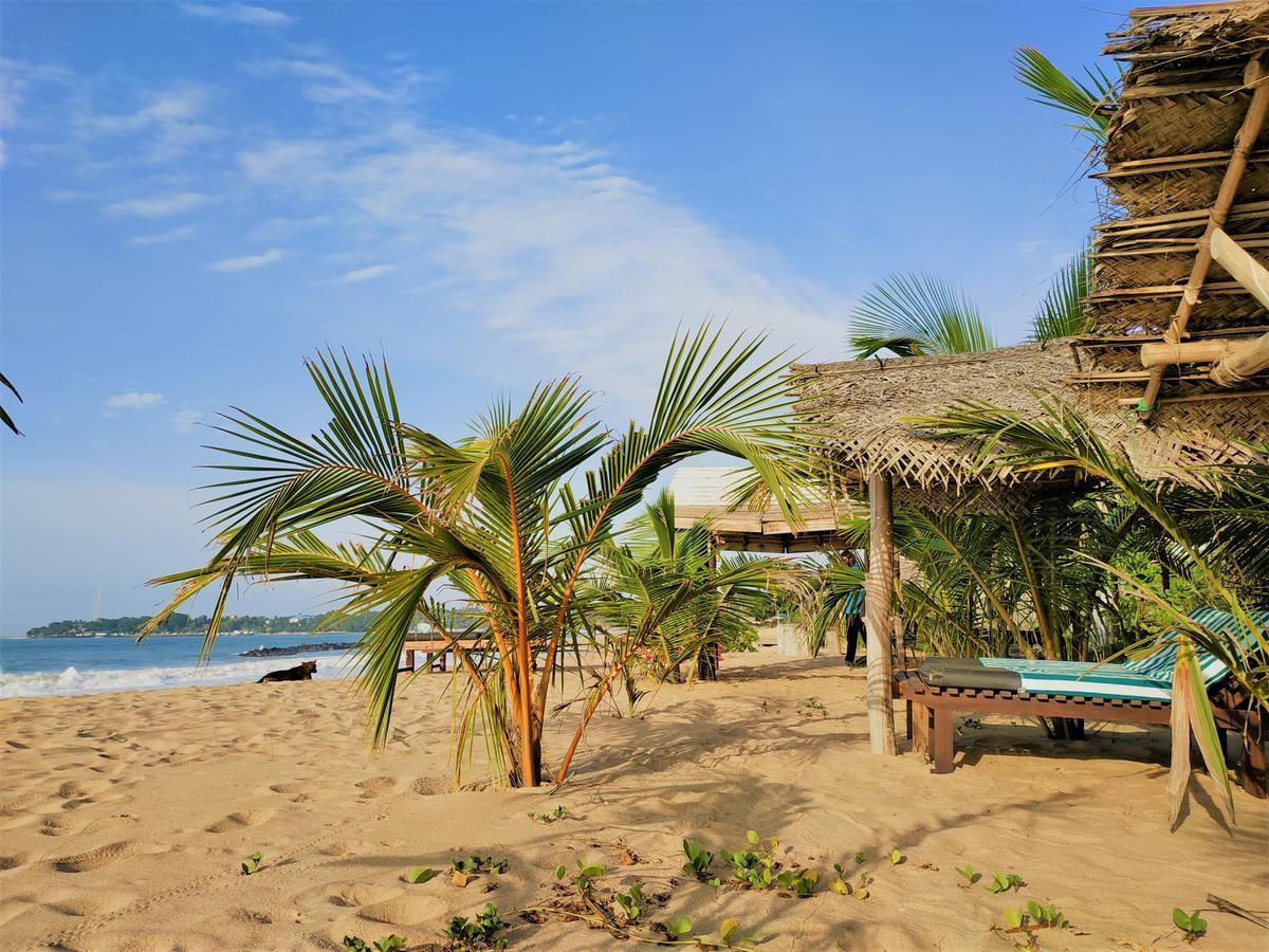 Asha Beach & Spa Tangalle Exteriér fotografie
